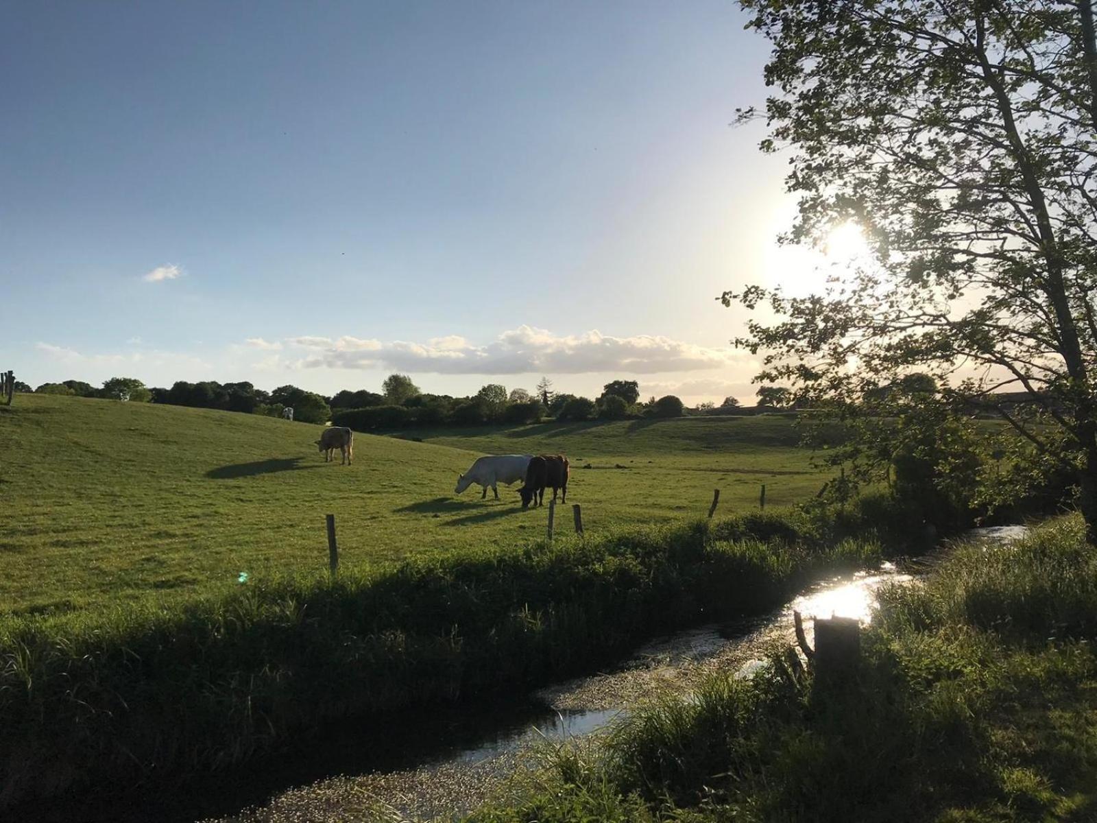 Seestern Bunsdorf Exteriér fotografie